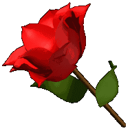 -rose4l.gif
